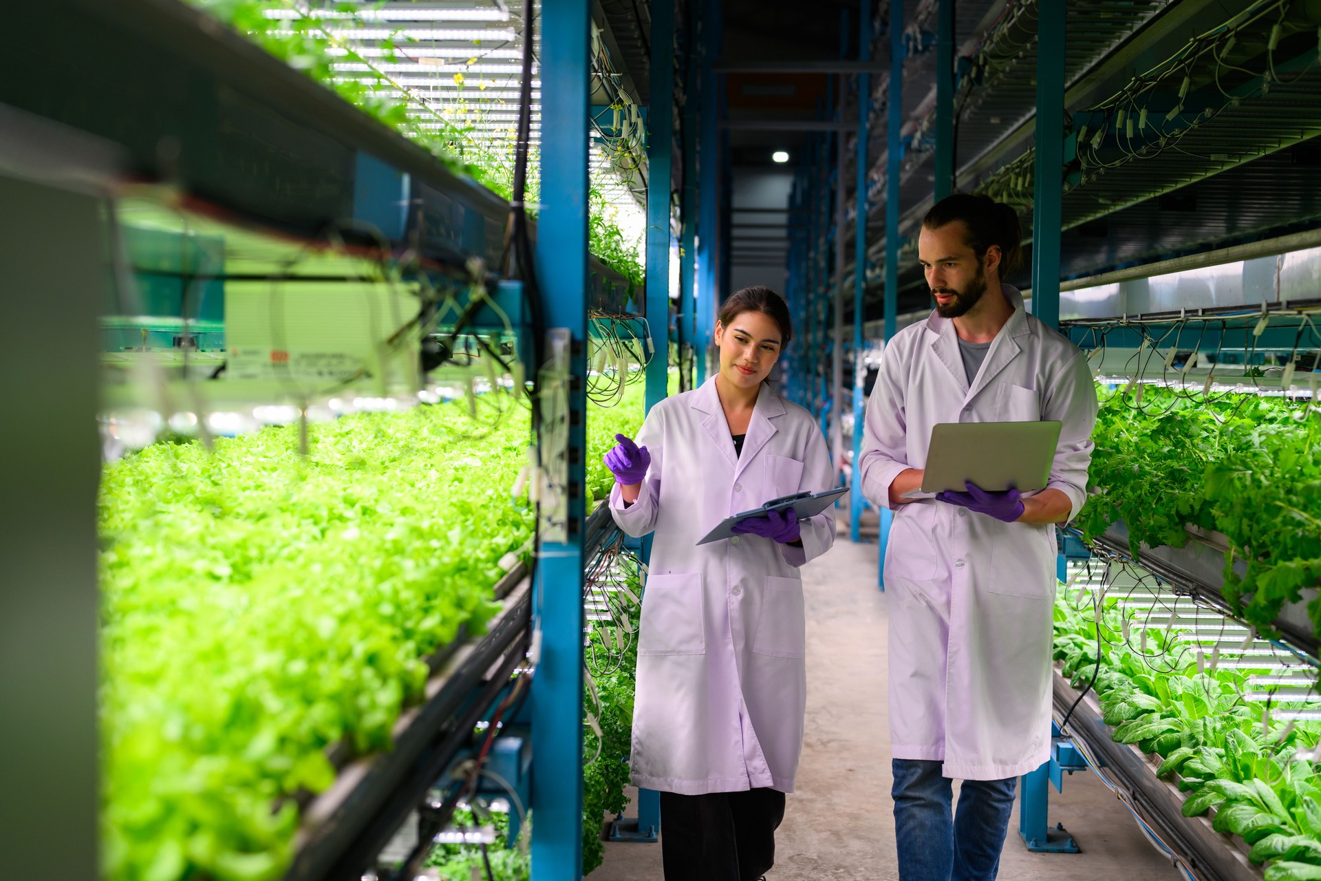 Smart technology farm, Smart indoor farm factory, Researchers develop pesticide-free vegetable varieties greenhouse agriculture, Greenhouse indoor smart farm factory