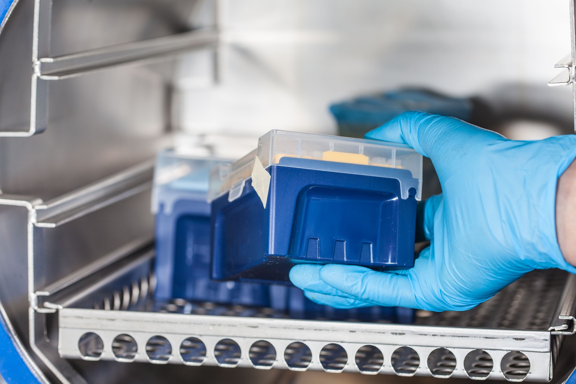 Sicentist sterilizing laboratory material
